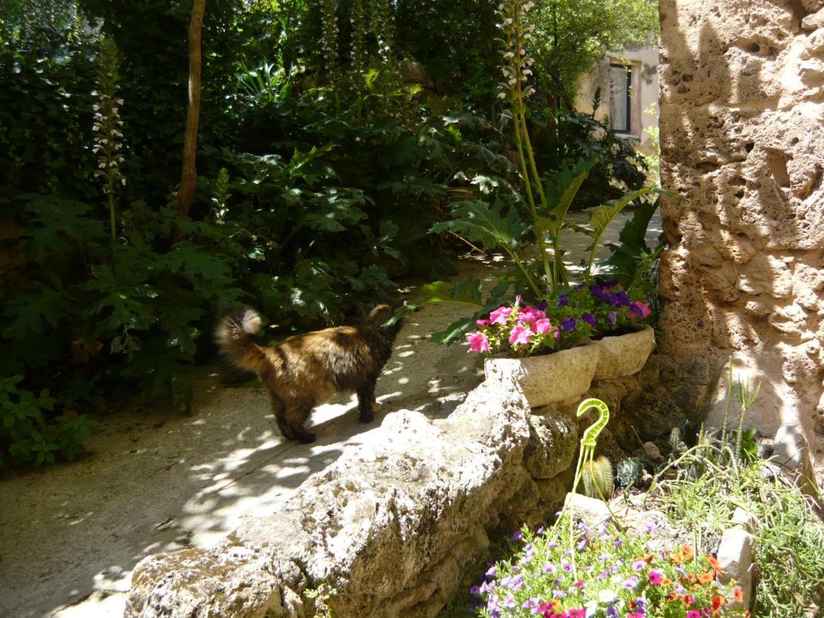 Bed and Breakfast Le Pra de Pé Cotignac Exterior foto