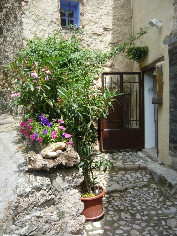 Bed and Breakfast Le Pra de Pé Cotignac Exterior foto
